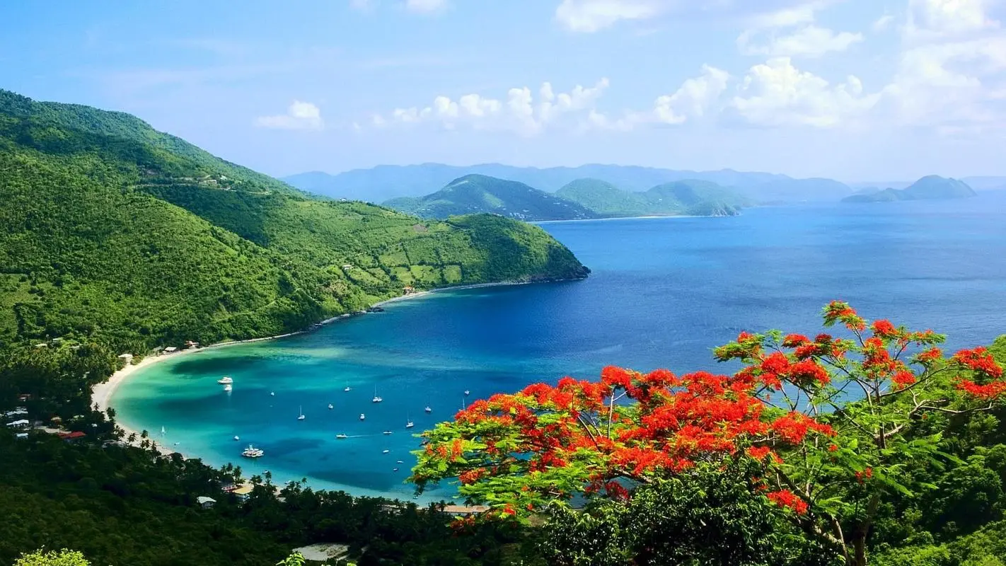 节能全自动精密